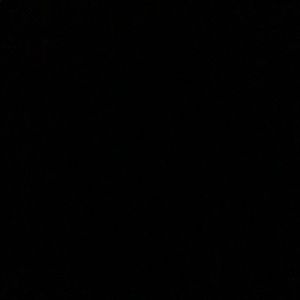 Meet your Posher, Abbie